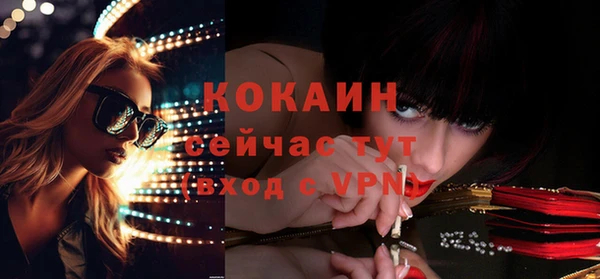 СК Семилуки