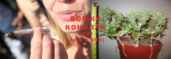 СК Семилуки