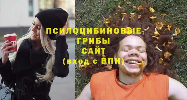 СК Семилуки
