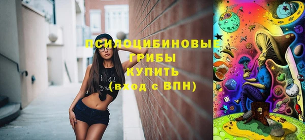 СК Семилуки