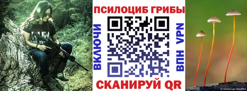 дарнет шоп Нальчик Псилоцибиновые грибы прущие грибы