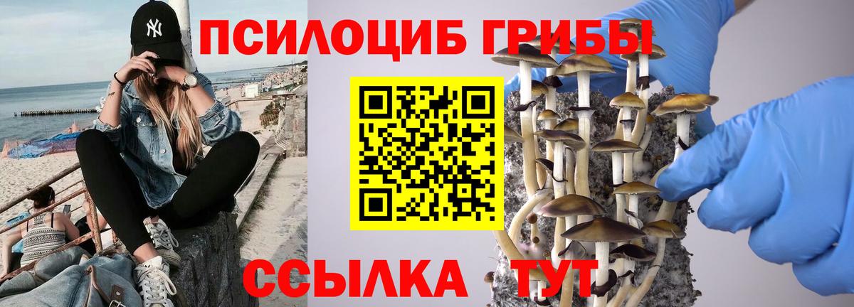Галлюциногенные грибы GOLDEN TEACHER  Вход с VPN  Нальчик 